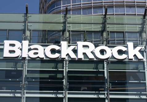 BlackRock Chief Backs Digital Assets to Expand Access in Global Finance