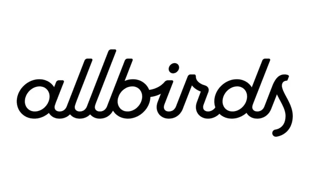 Allbirds stock jumps 300% after $50 million AI pivot